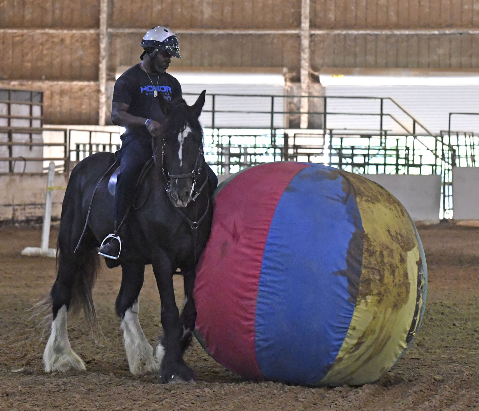 BR.brpdhorses.adv HS 026.JPG